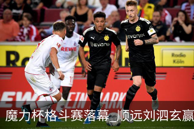 魔力杯格斗赛落幕 顺远刘泗玄赢下100公斤级